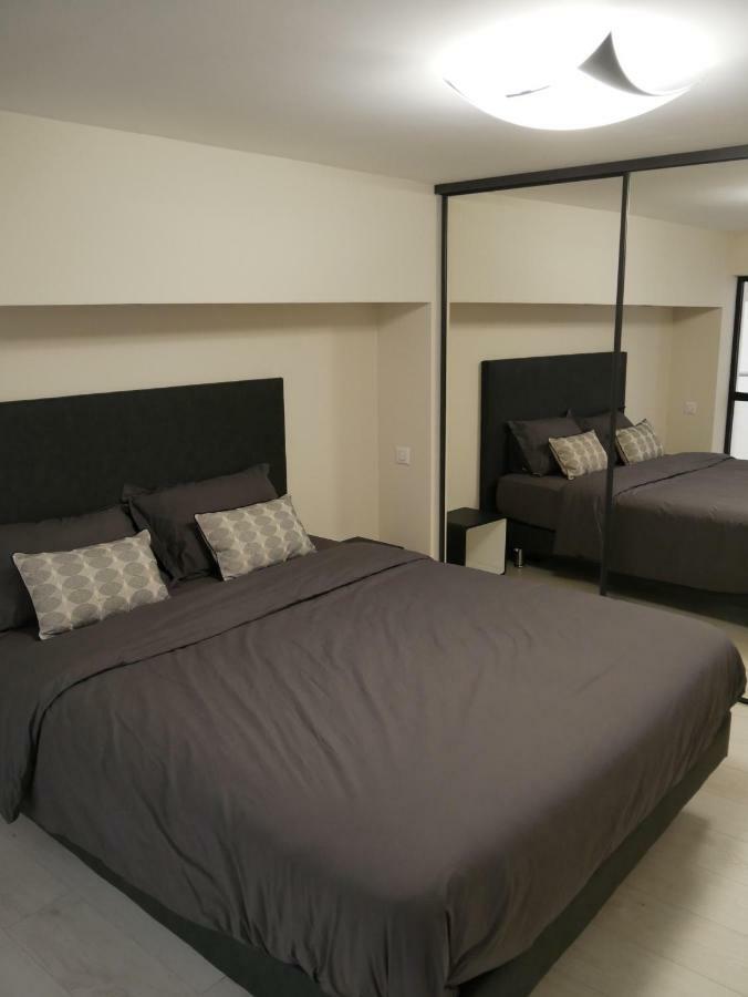 Apartment Grand Loft Chic Et Moderne, Deco Industrielle